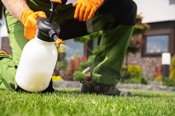 Best Pest Prevention Services  in Tome, NM