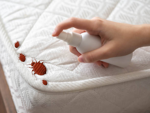 Best Pest Inspection Near Me  in Tome, NM