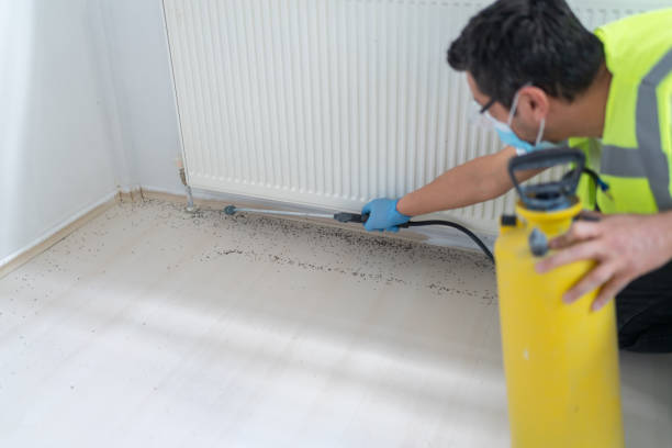 Pest Control Cost in Tome, NM